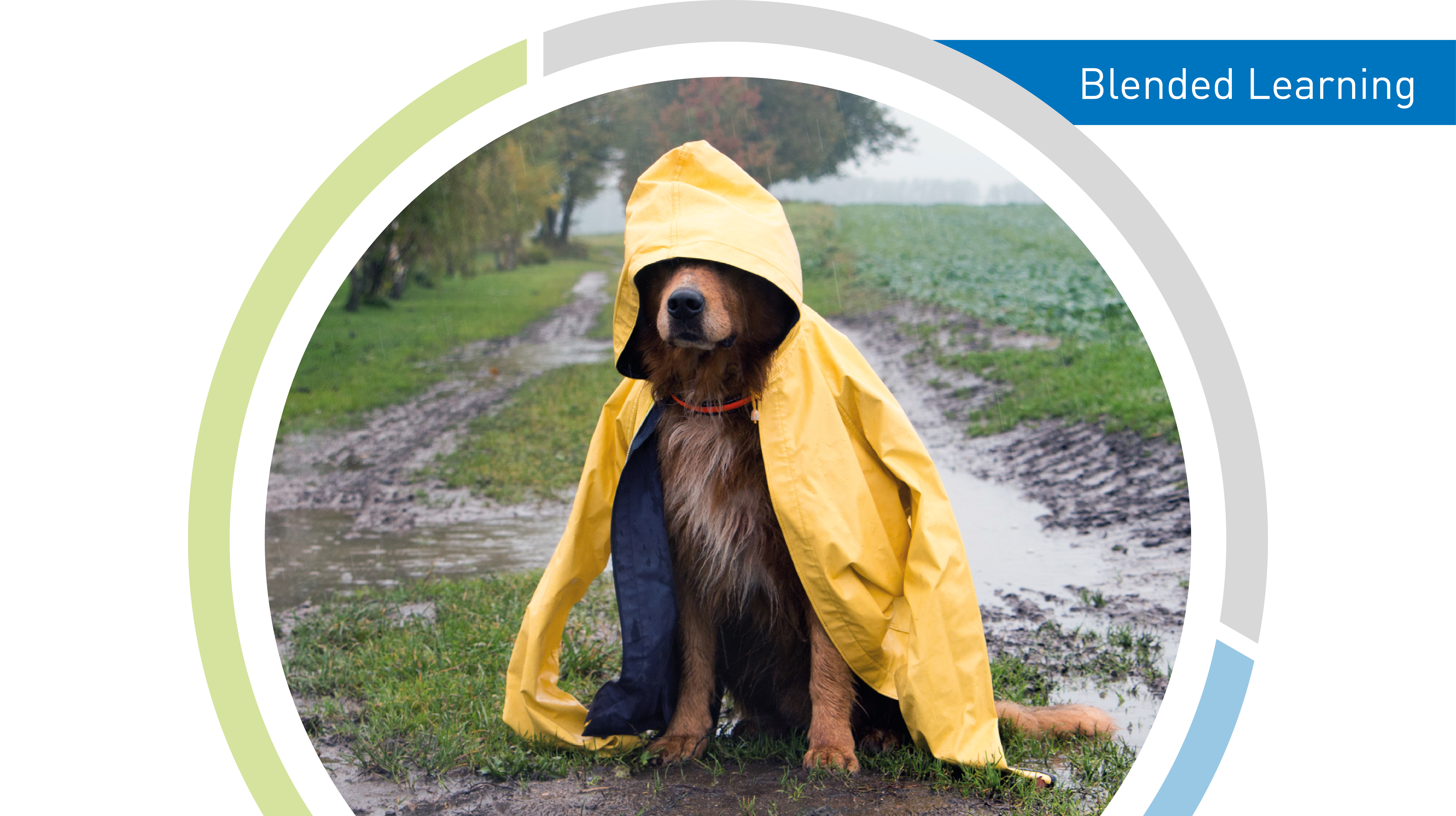 Fachplaner*innen Starkregenvosorge